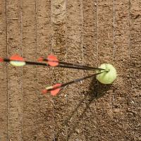 Les archers de Claixwood ne sont pas là pour jouer à la baballe...